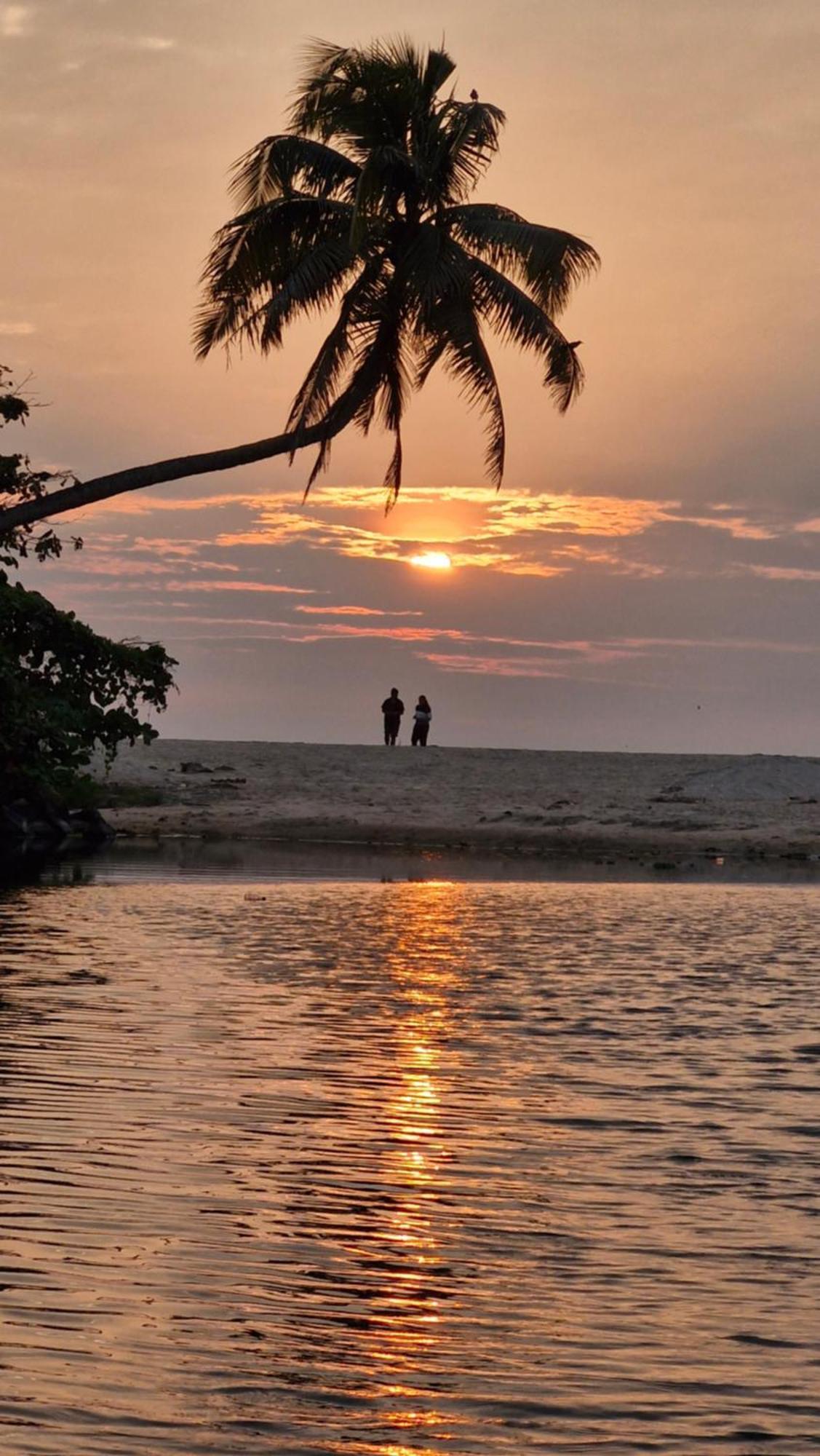 Gypsea Marari Bed and Breakfast Alappuzha Buitenkant foto